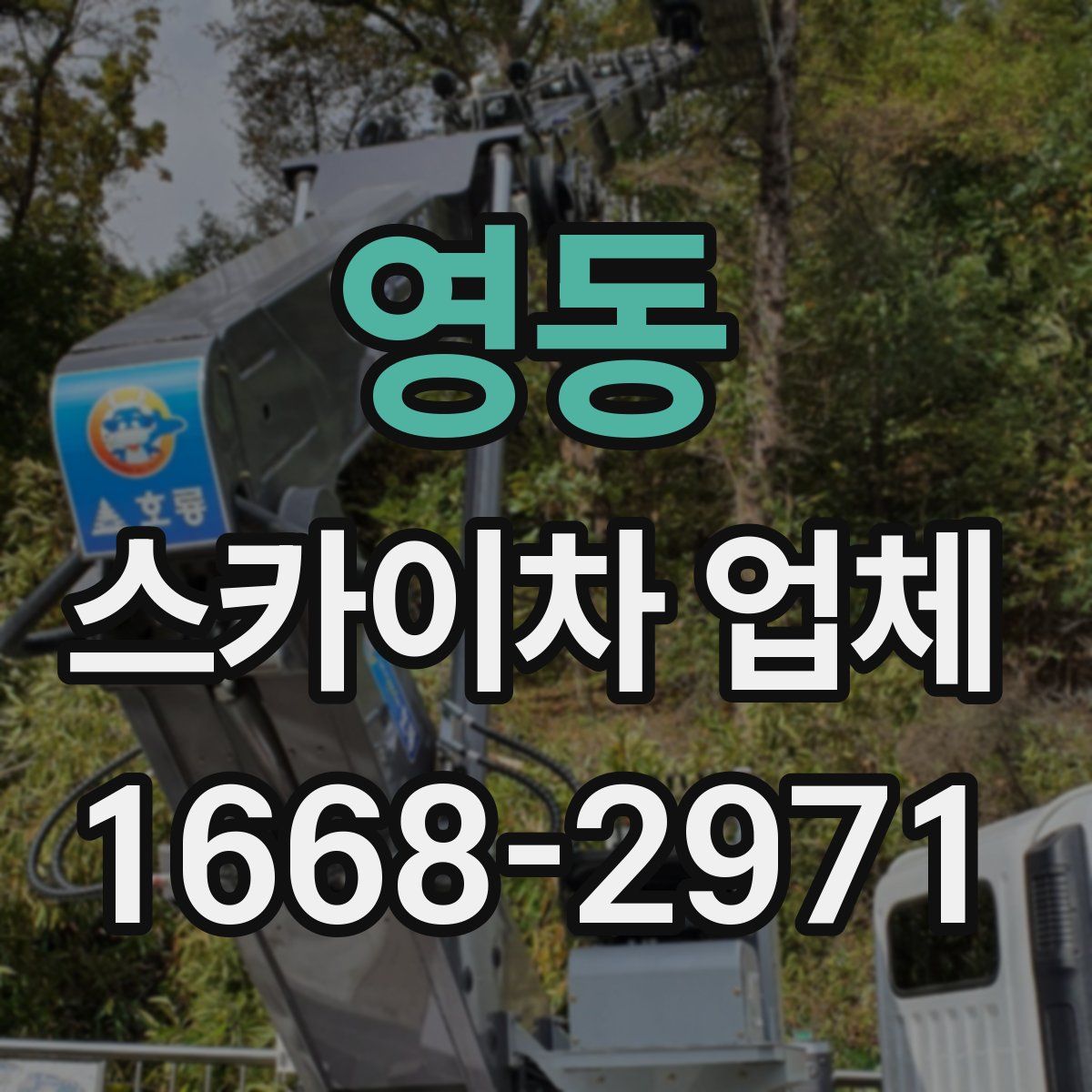 영동 스카이차 업체
