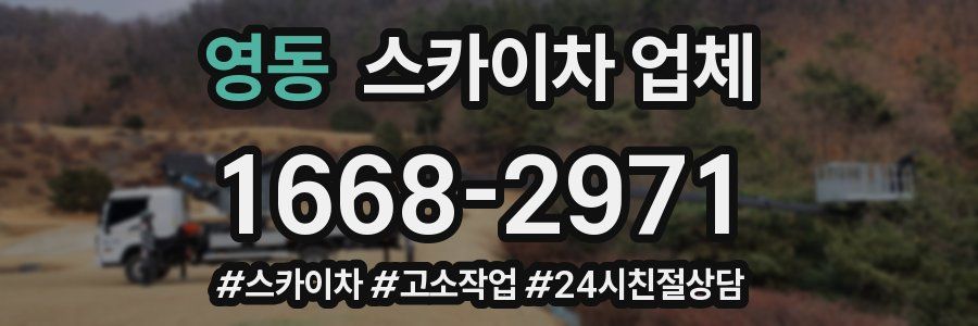 영동 스카이차 업체