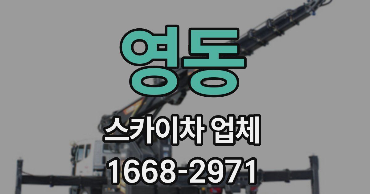 영동 스카이차 업체