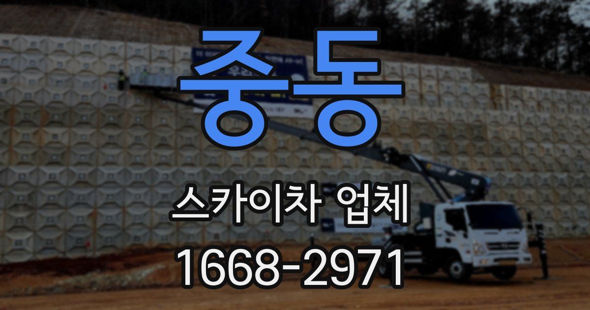 중동 스카이차 업체