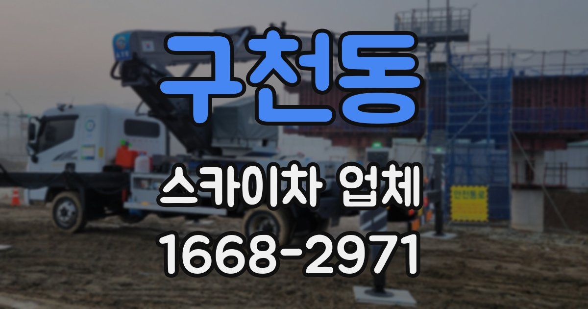 구천동 스카이차 업체