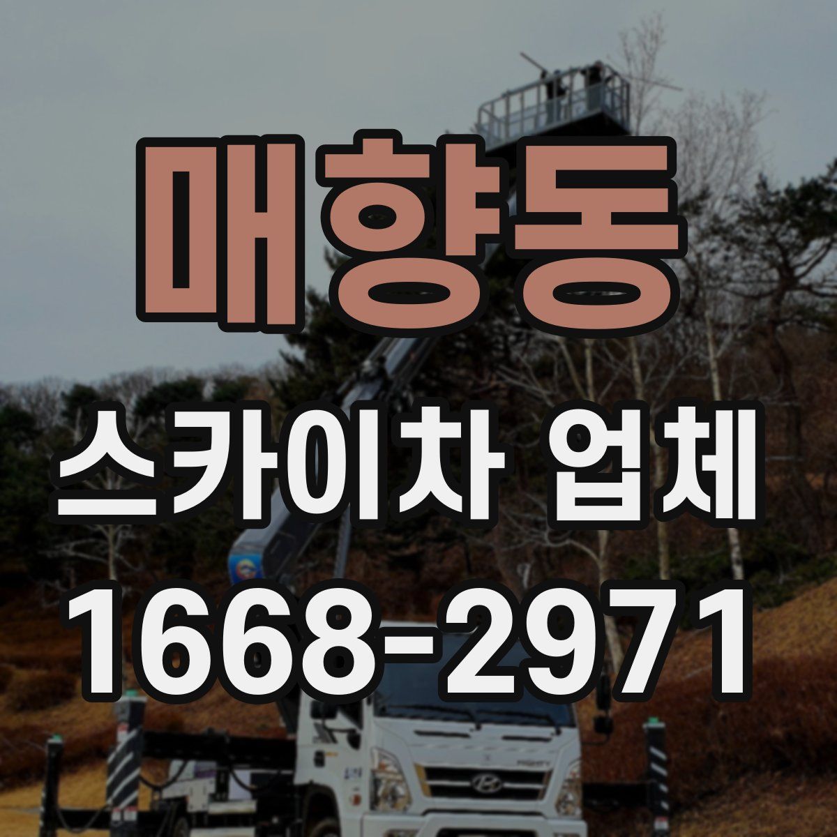 매향동 스카이차 업체