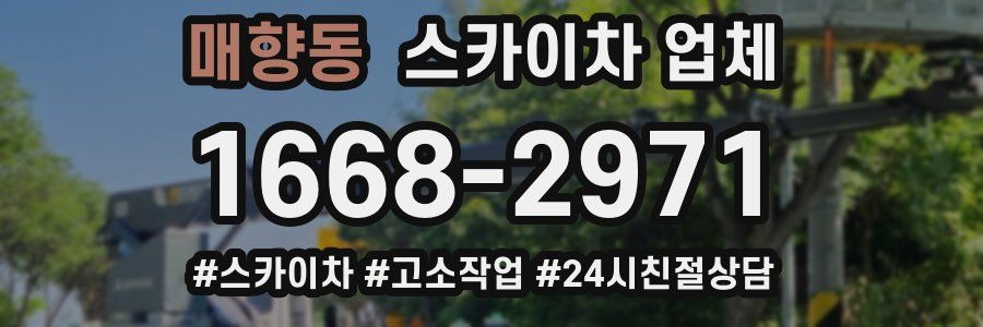 매향동 스카이차 업체