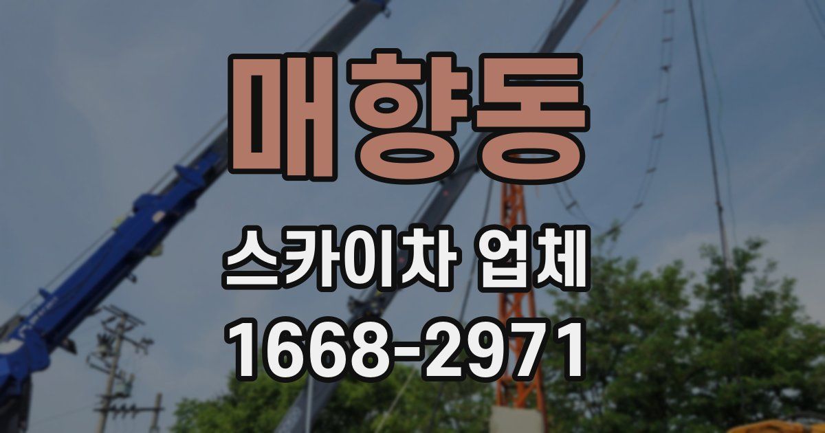 매향동 스카이차 업체