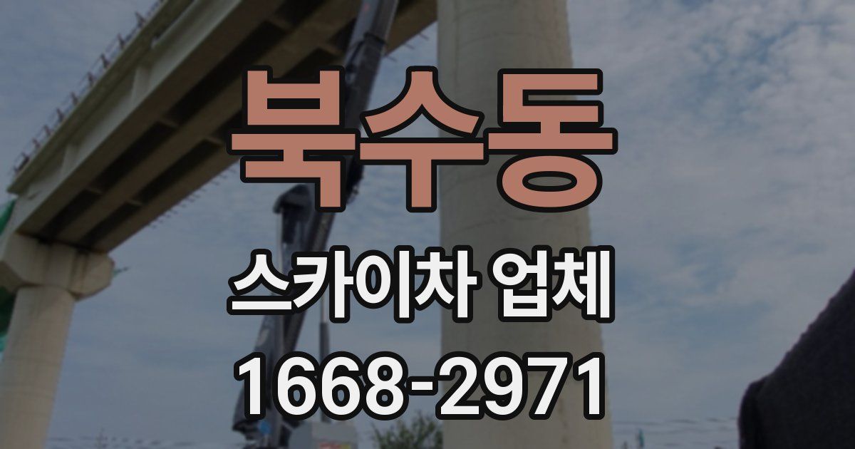 북수동 스카이차 업체