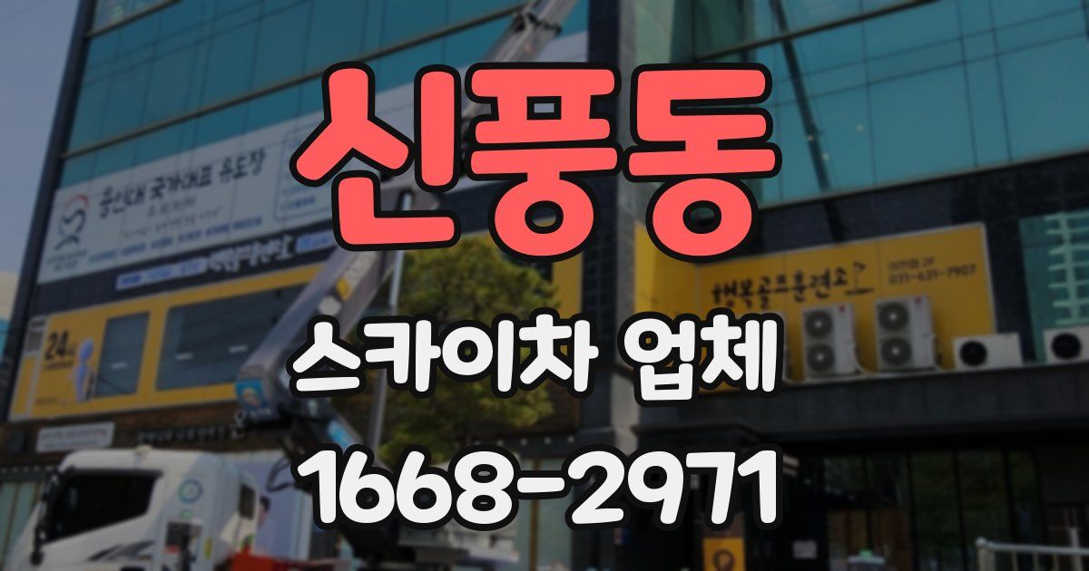 신풍동 스카이차 업체