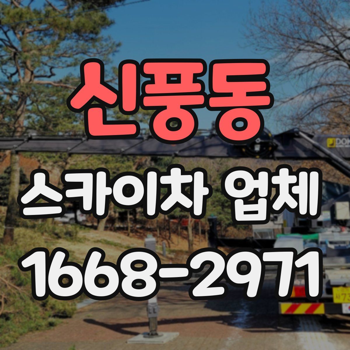 신풍동 스카이차 업체