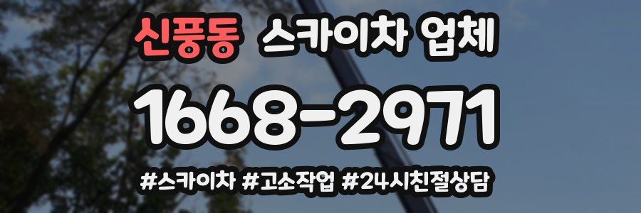 신풍동 스카이차 업체