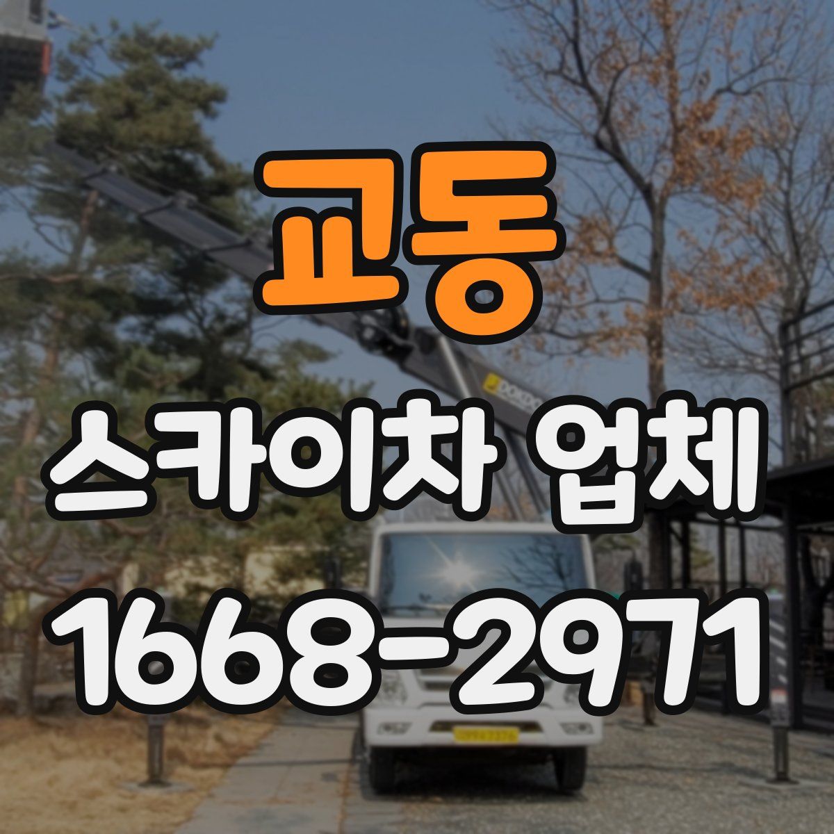 교동 스카이차 업체