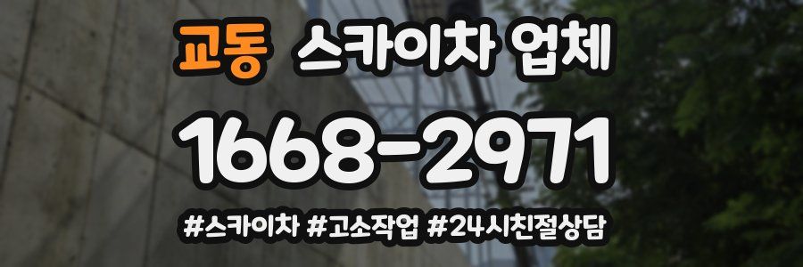 교동 스카이차 업체