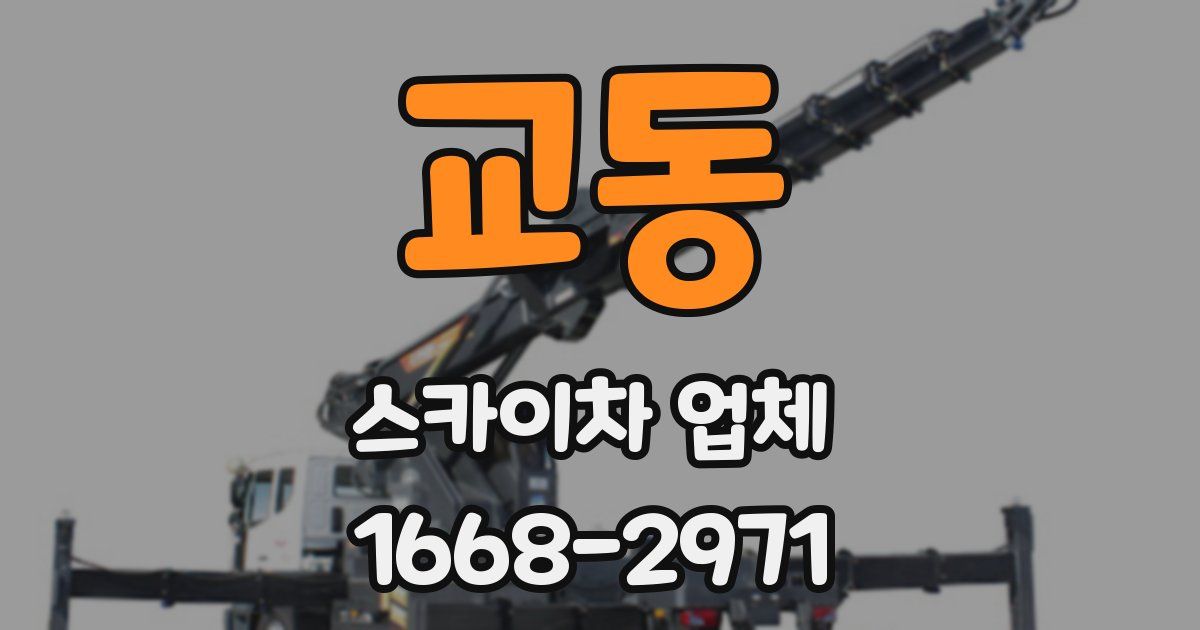 교동 스카이차 업체