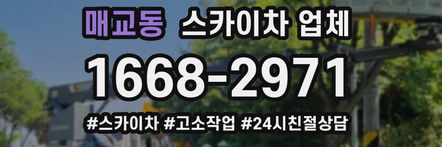 매교동 스카이차 업체