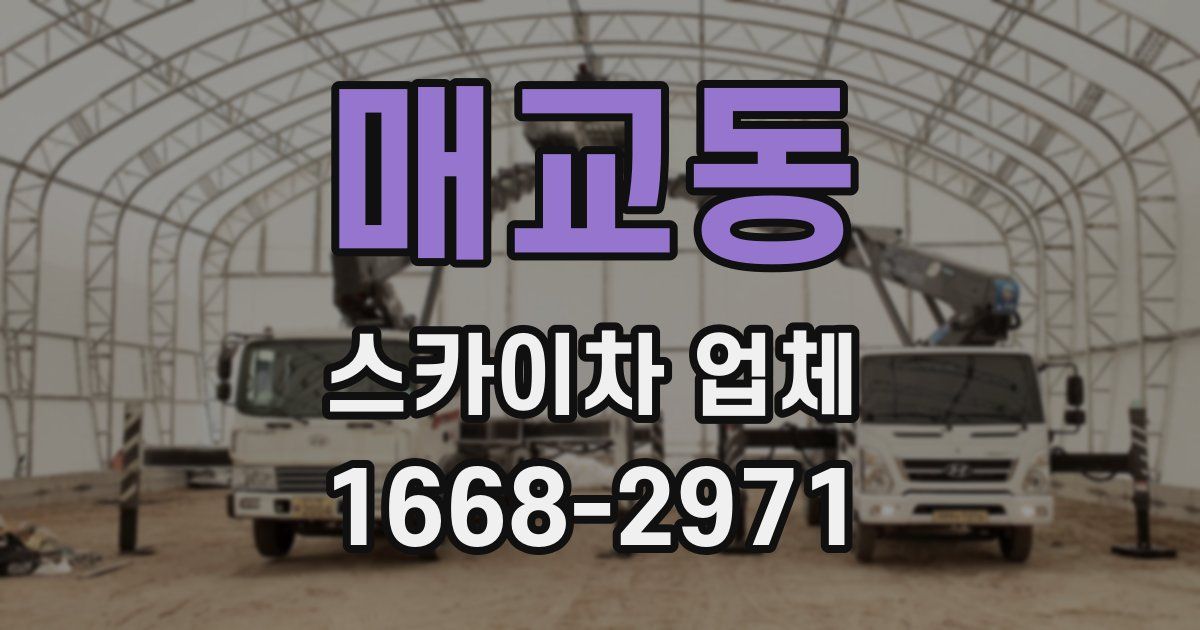 매교동 스카이차 업체