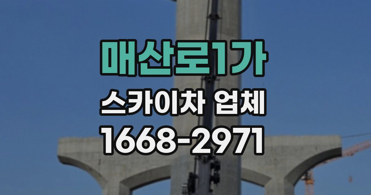 매산로1가 스카이차 업체