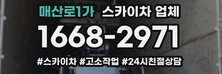 매산로1가 스카이차 업체