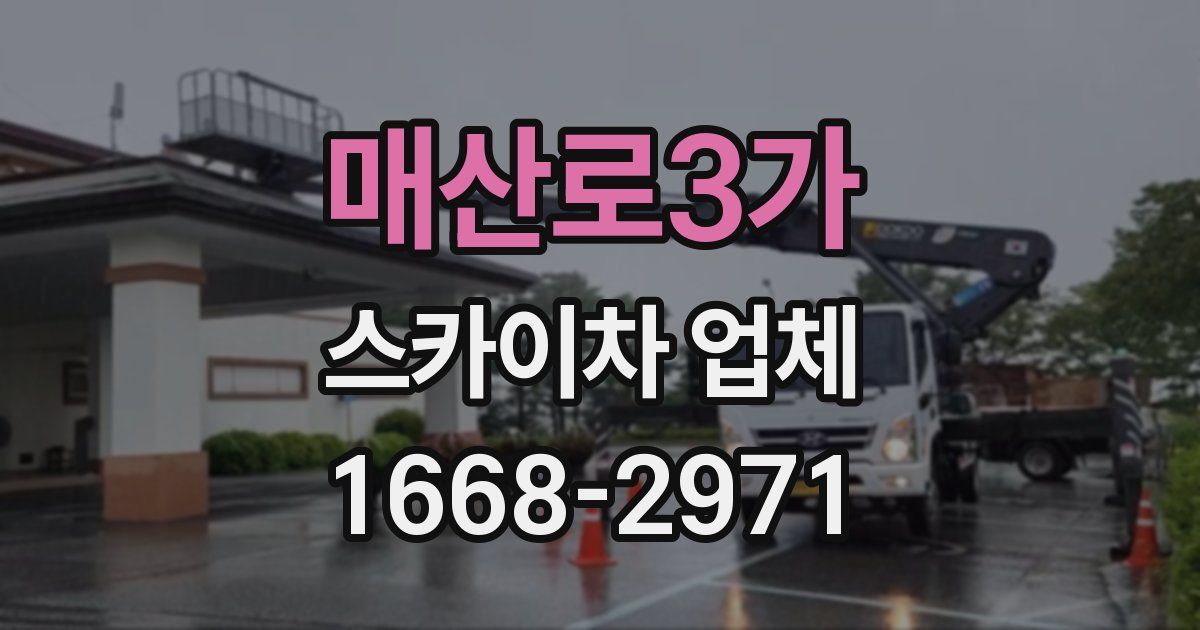 매산로3가 스카이차 업체