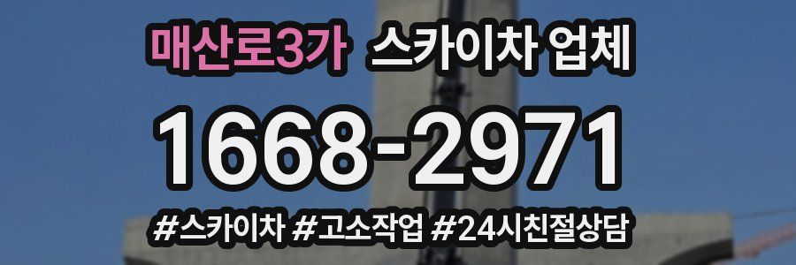 매산로3가 스카이차 업체