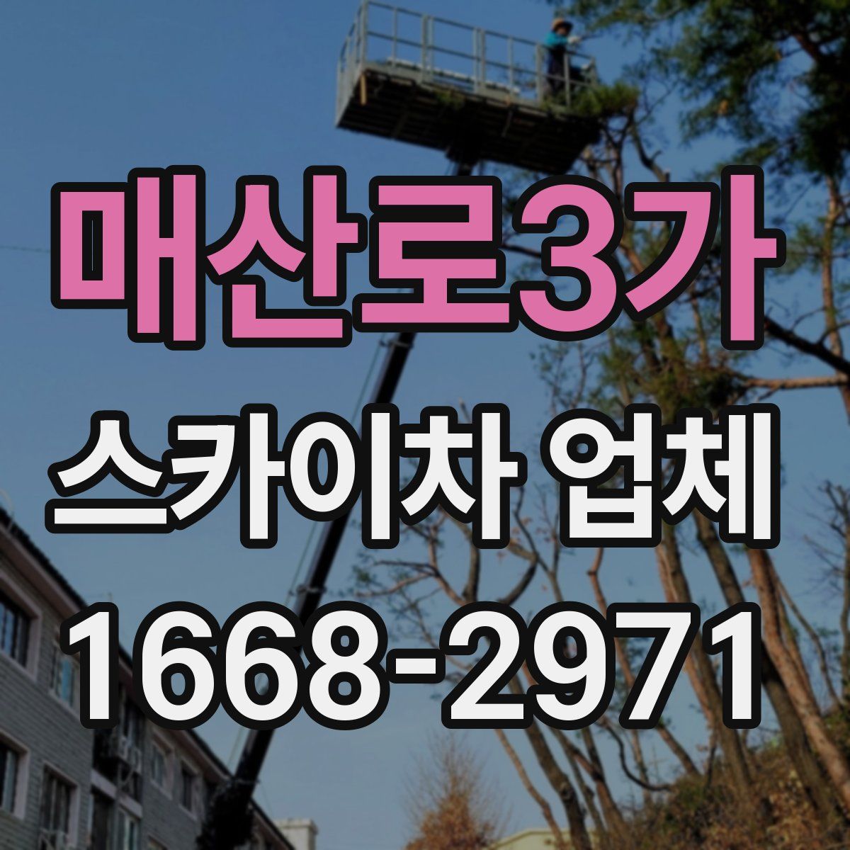 매산로3가 스카이차 업체
