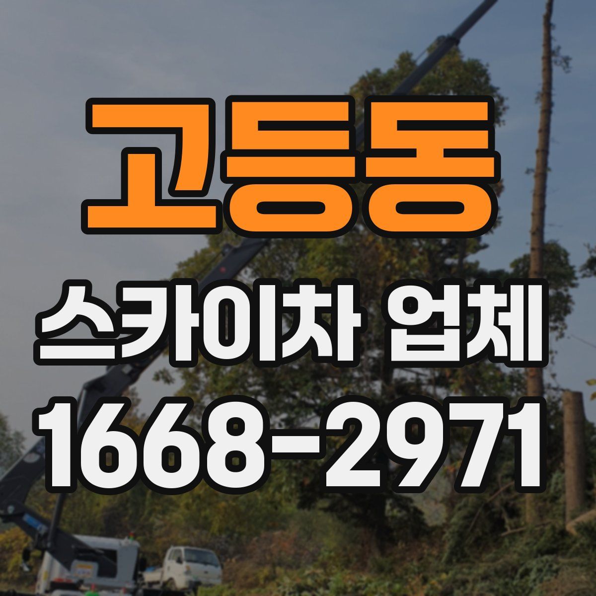 고등동 스카이차 업체