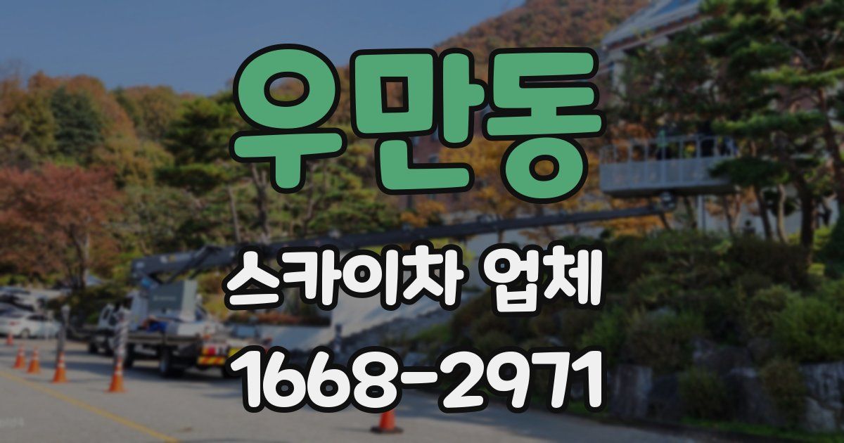 우만동 스카이차 업체