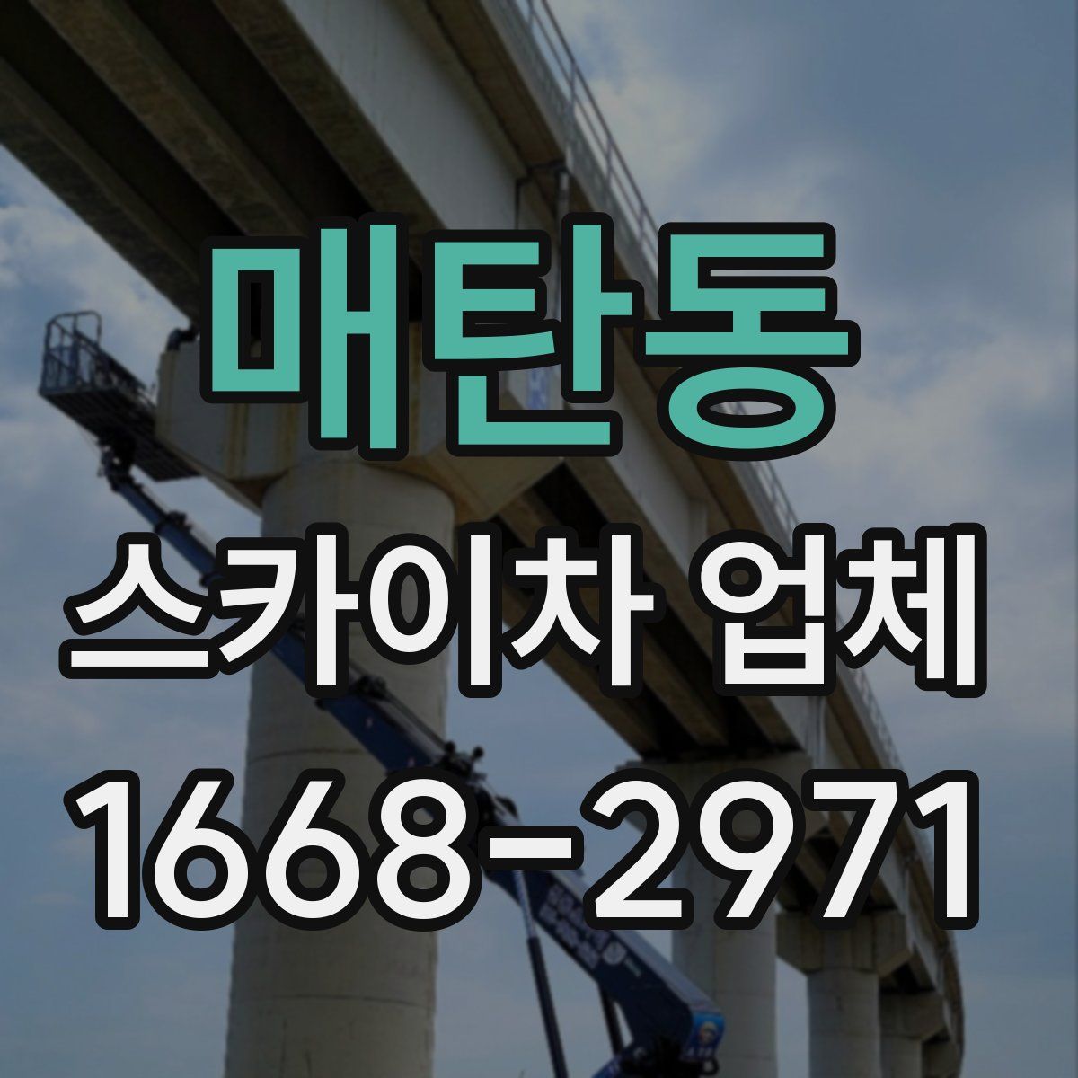 매탄동 스카이차 업체