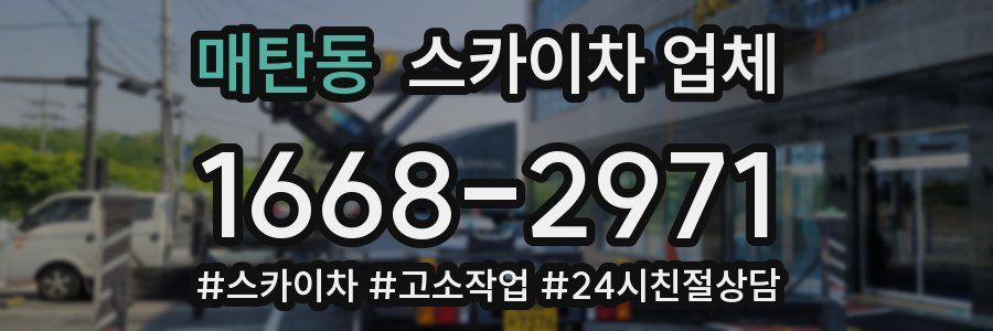 매탄동 스카이차 업체