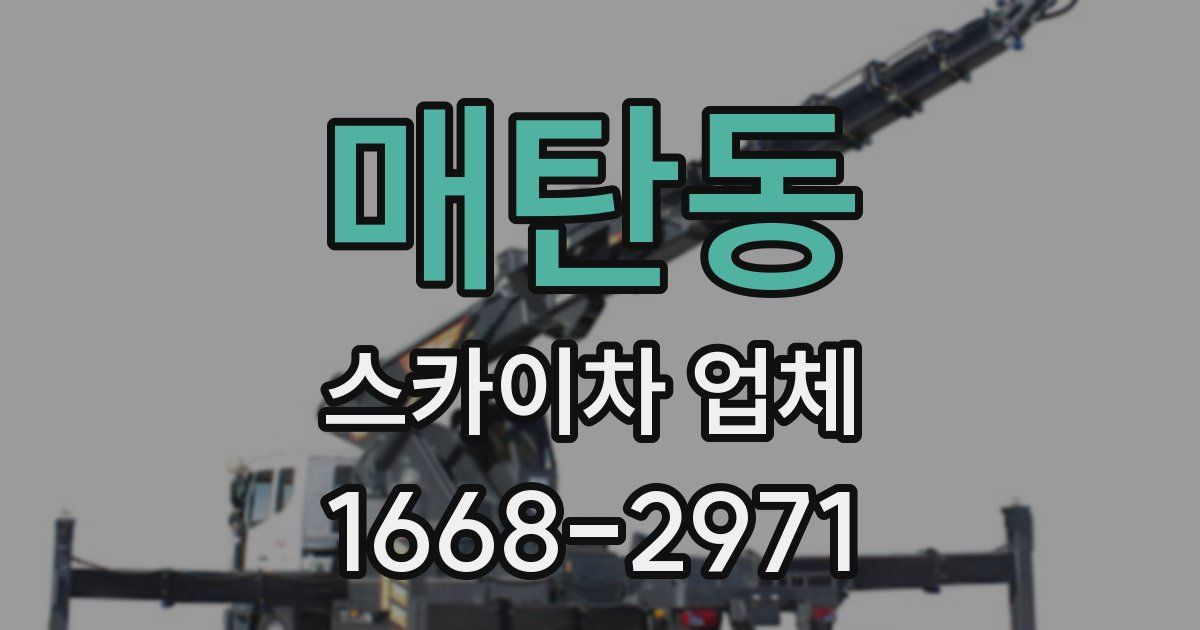 매탄동 스카이차 업체