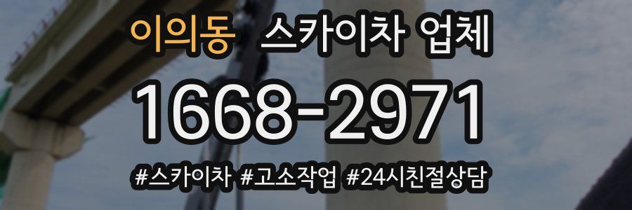 이의동 스카이차 업체