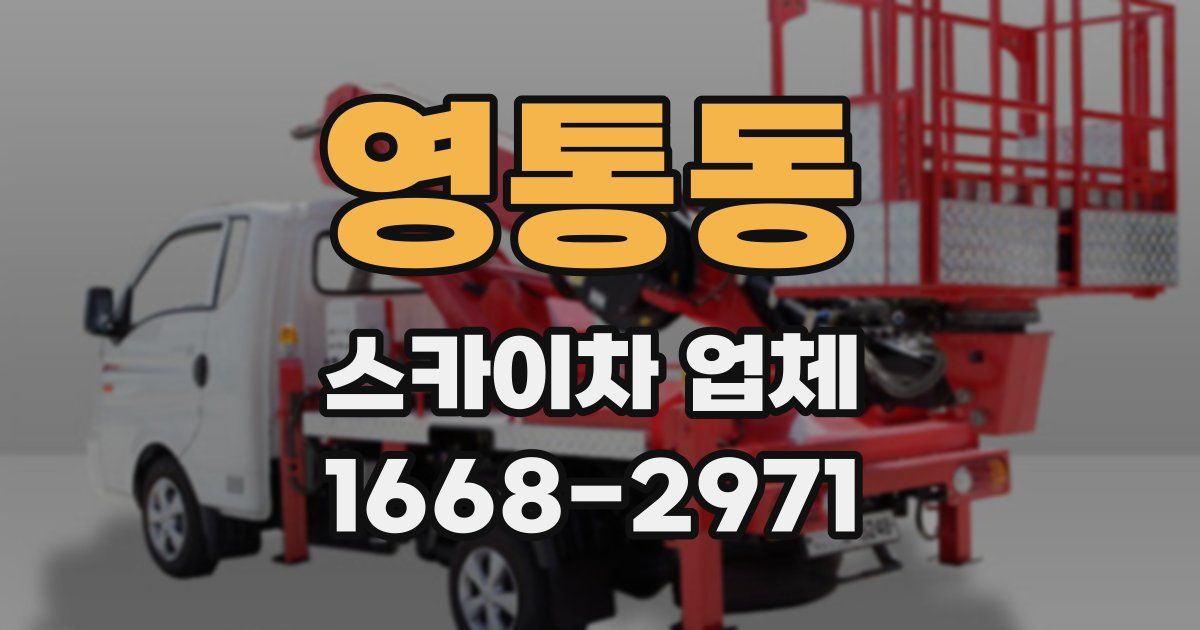 영통동 스카이차 업체