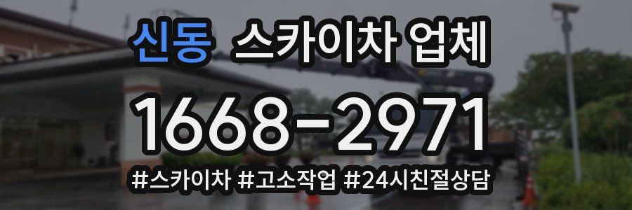 신동 스카이차 업체