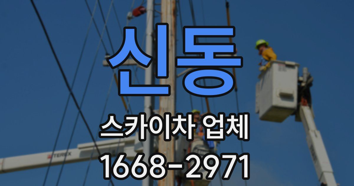 신동 스카이차 업체