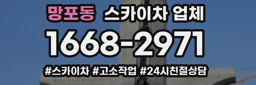 망포동 스카이차 업체