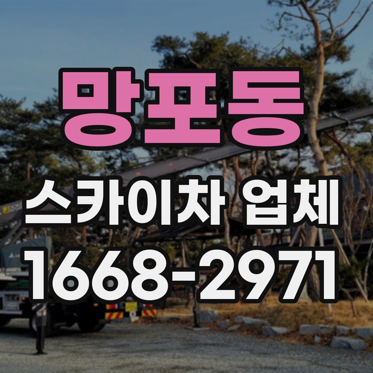 망포동 스카이차 업체