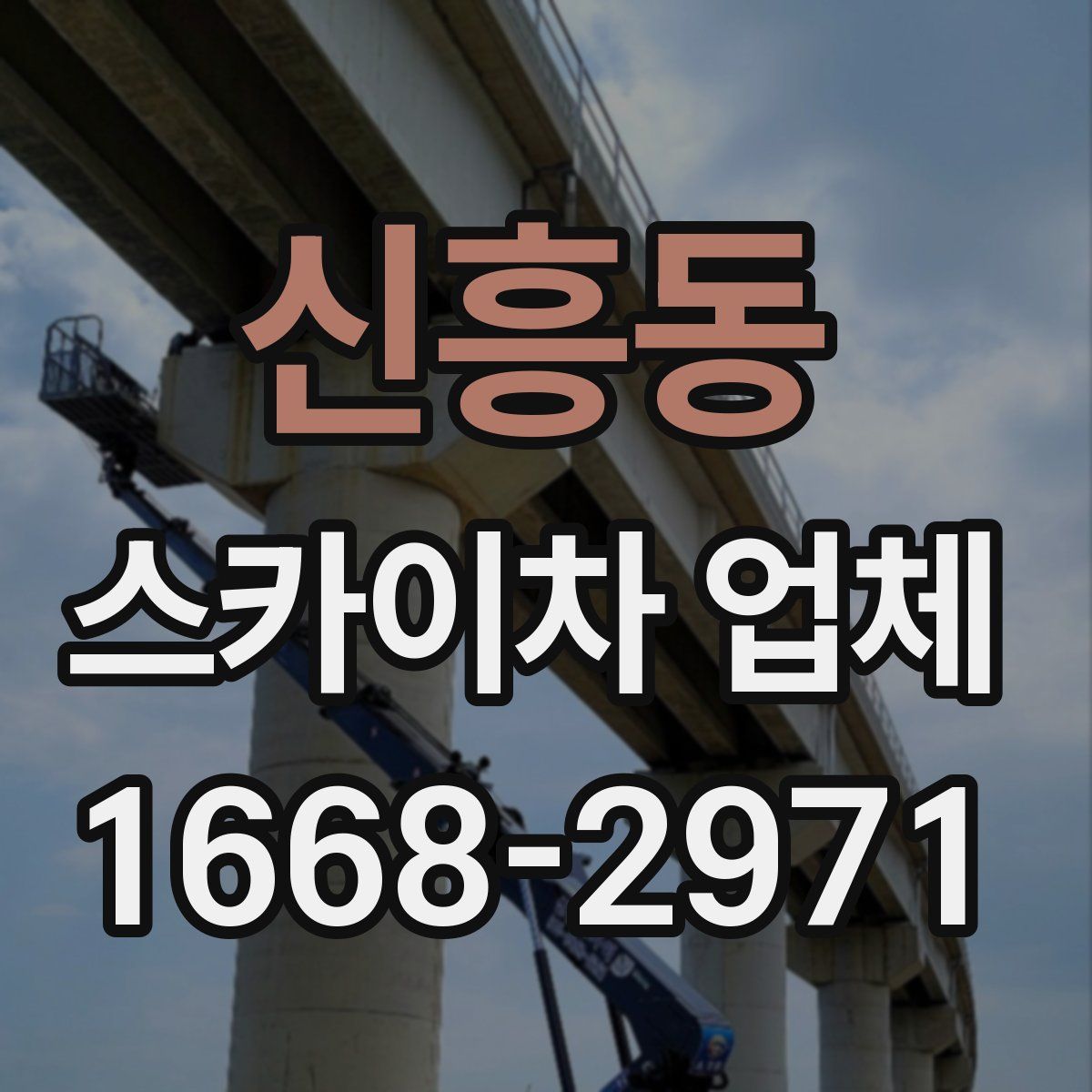 신흥동 스카이차 업체