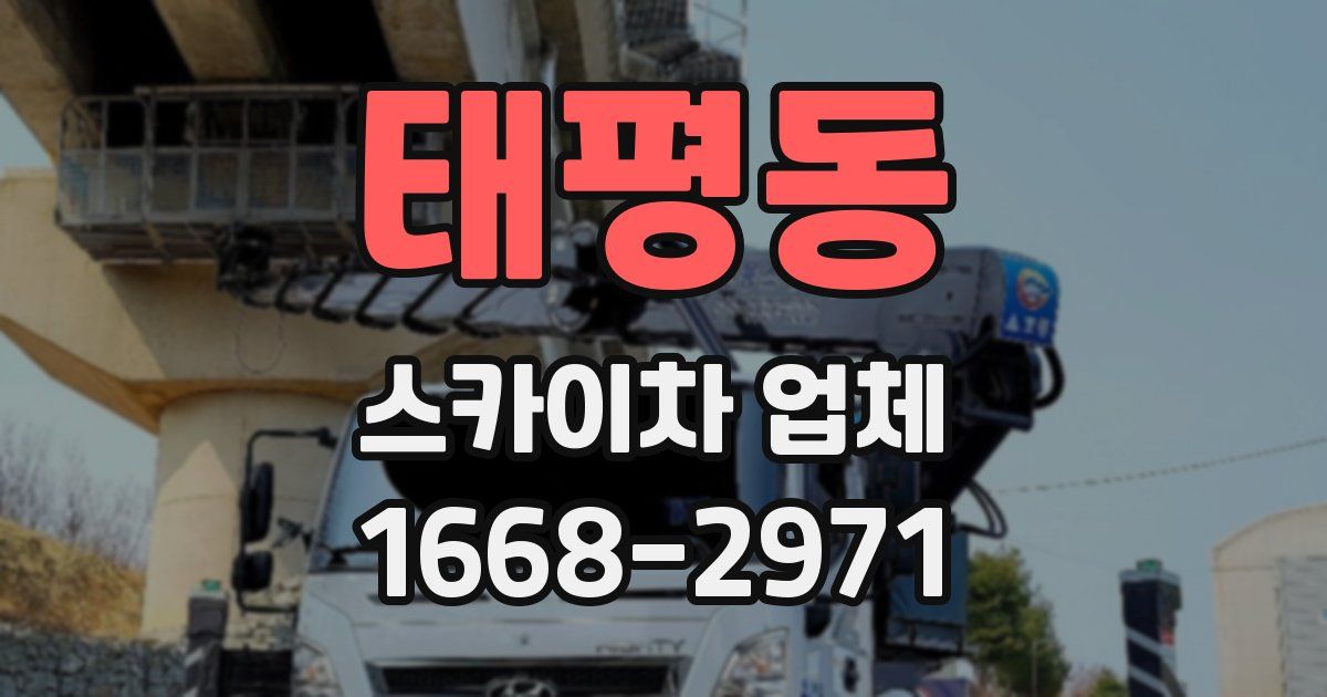 태평동 스카이차 업체