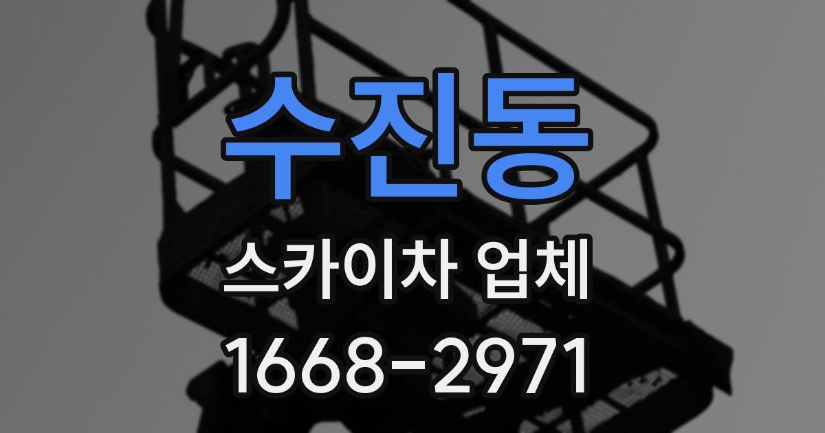 수진동 스카이차 업체