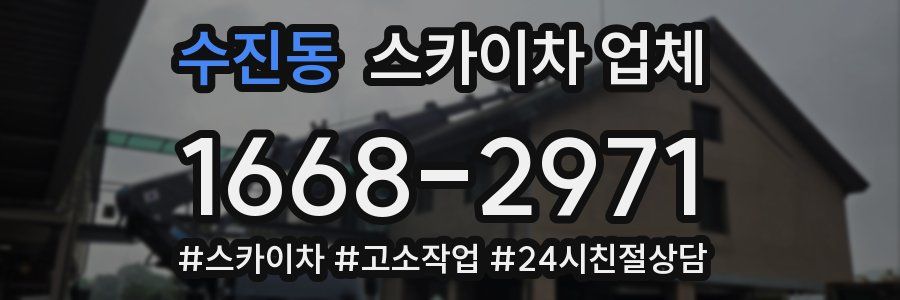 수진동 스카이차 업체