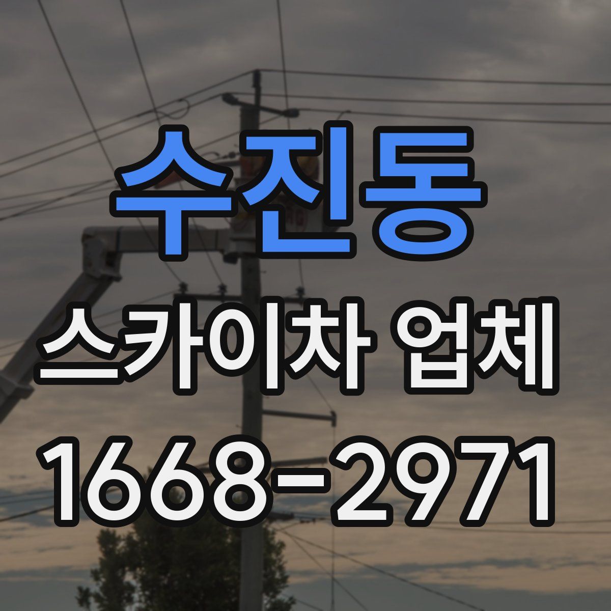 수진동 스카이차 업체