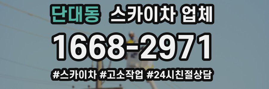 단대동 스카이차 업체