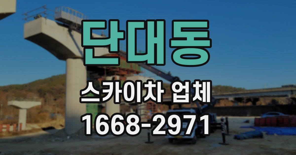 단대동 스카이차 업체
