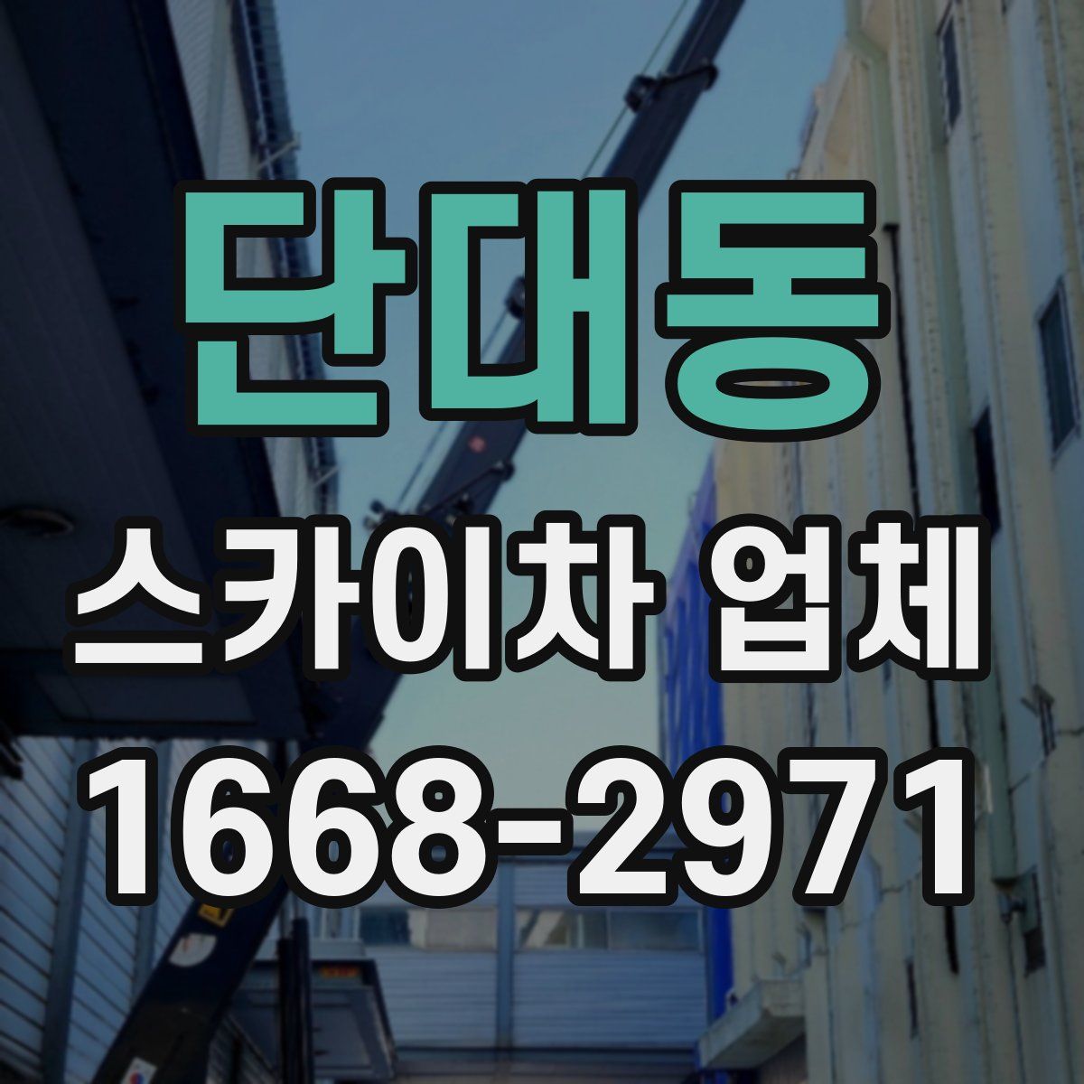 단대동 스카이차 업체