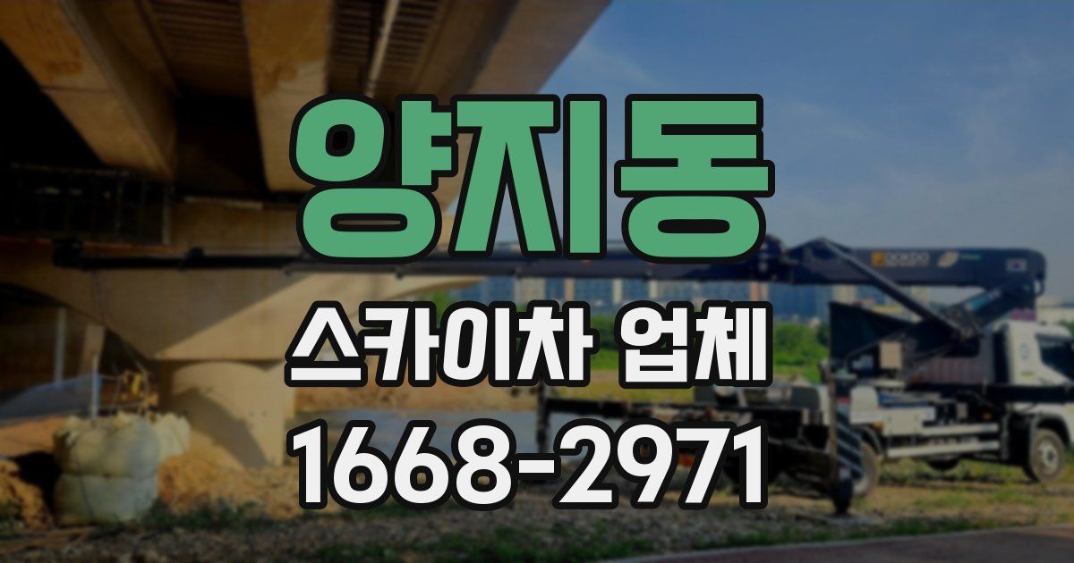 양지동 스카이차 업체