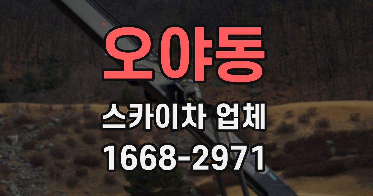 오야동 스카이차 업체