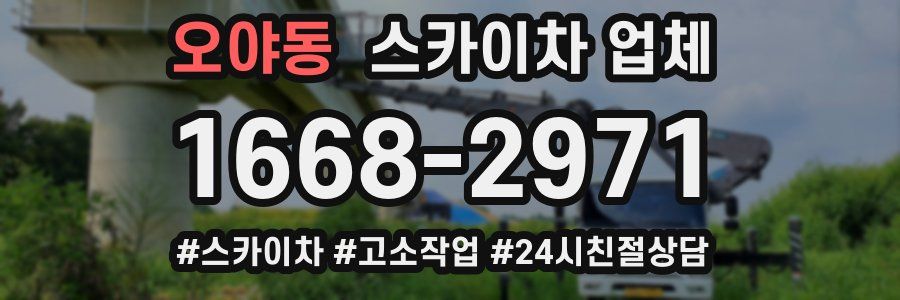 오야동 스카이차 업체