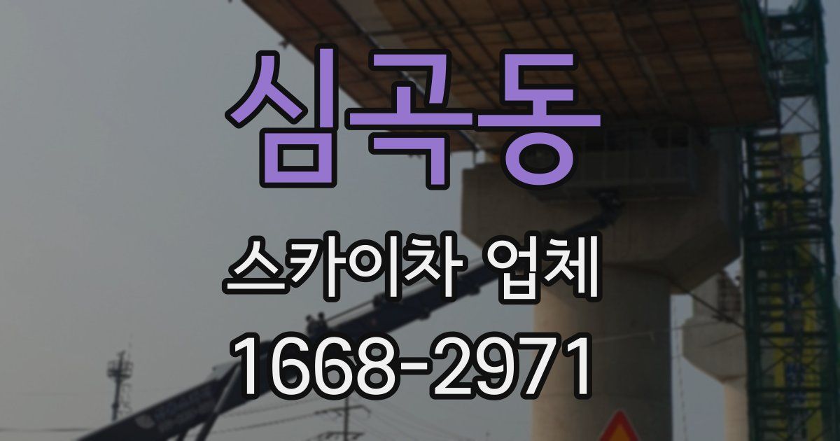 심곡동 스카이차 업체