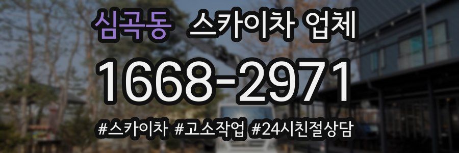 심곡동 스카이차 업체