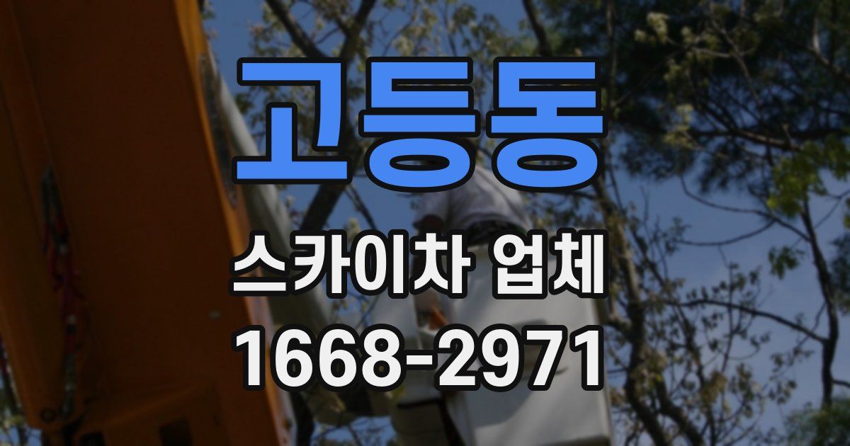 고등동 스카이차 업체