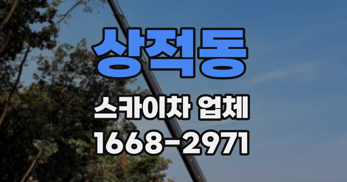 상적동 스카이차 업체