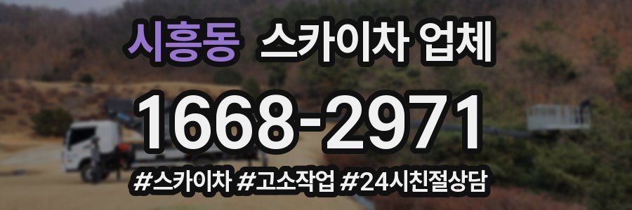 시흥동 스카이차 업체