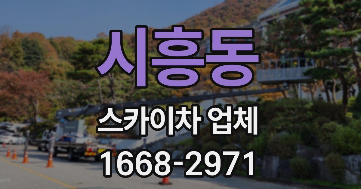 시흥동 스카이차 업체